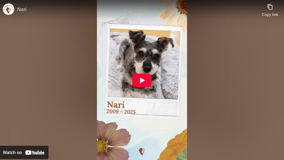 Remembering Nari